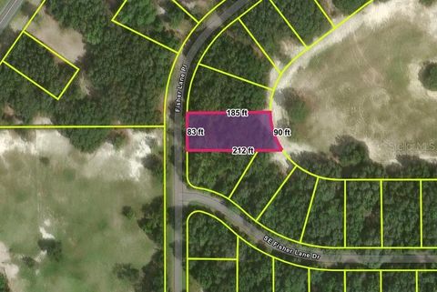 Photo of Fisher Lane Place, Ocklawaha, FL 32179 (MLS # O6419092)