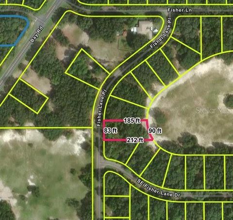 Tiny photo for Fisher Lane Place, Ocklawaha, FL 32179 (MLS # O6419092)