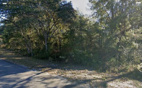 Tiny photo for Fisher Lane Place, Ocklawaha, FL 32179 (MLS # O6419092)
