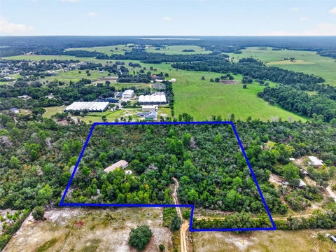 Photo of 20241 Saltsdale Road, Umatilla, FL 32784 (MLS # G5115319)