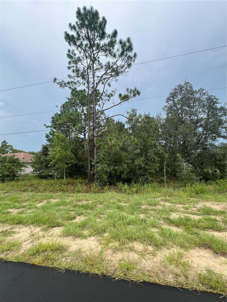 143rd SW LANE ROAD