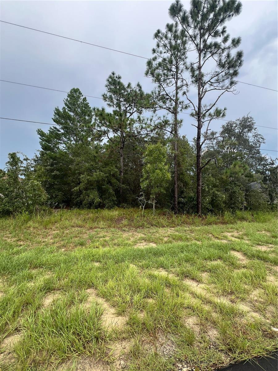 Fantastic opportunity to own a vacant lot in the desirable Marion Oaks community! This property offers the perfect setting to build your dream home and enjoy Florida living at its best. Whether you’re looking to create your forever residence or build an investment property to sell, the possibilities are endless. Marion Oaks has no HOA fees and provides convenient access to I-75, shopping, dining, medical facilities, and schools. Don’t miss out on this chance to secure a piece of land in a growing area of Ocala!