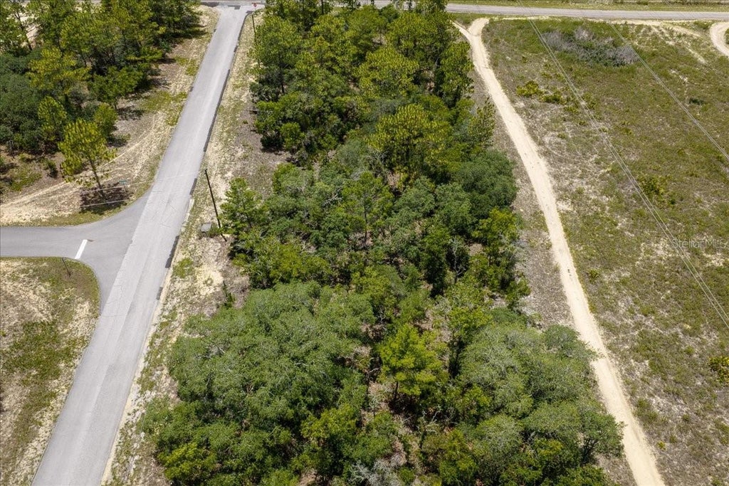 Photo of 6830 N Sandborn Loop, Citrus Springs, FL 34433 (MLS # OM728250)