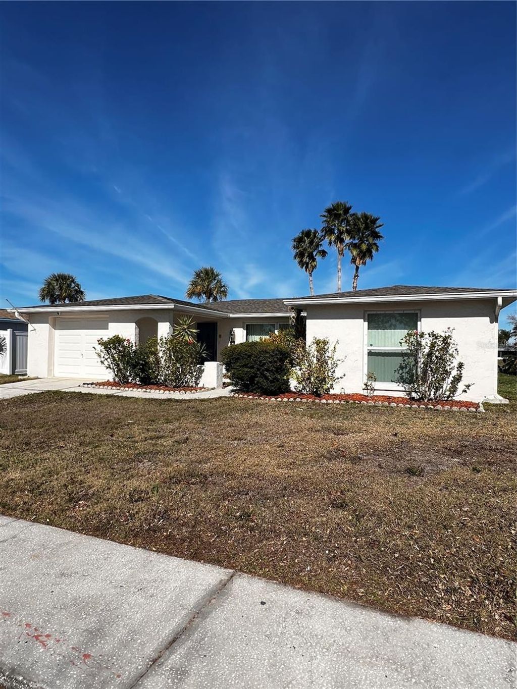 Photo of 7403 Populus Drive, Port Richey, FL 34668 (MLS # TB8472666)