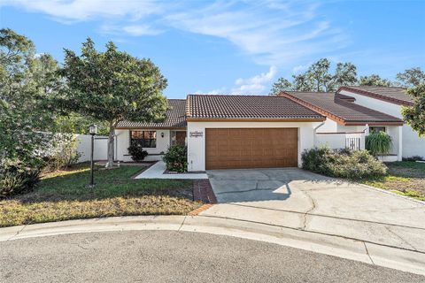 A home in TEMPLE TERRACE