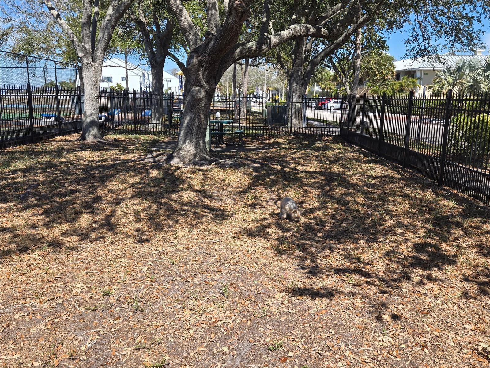 ISLAND RESORT AT MARINERS CLUB - Residential