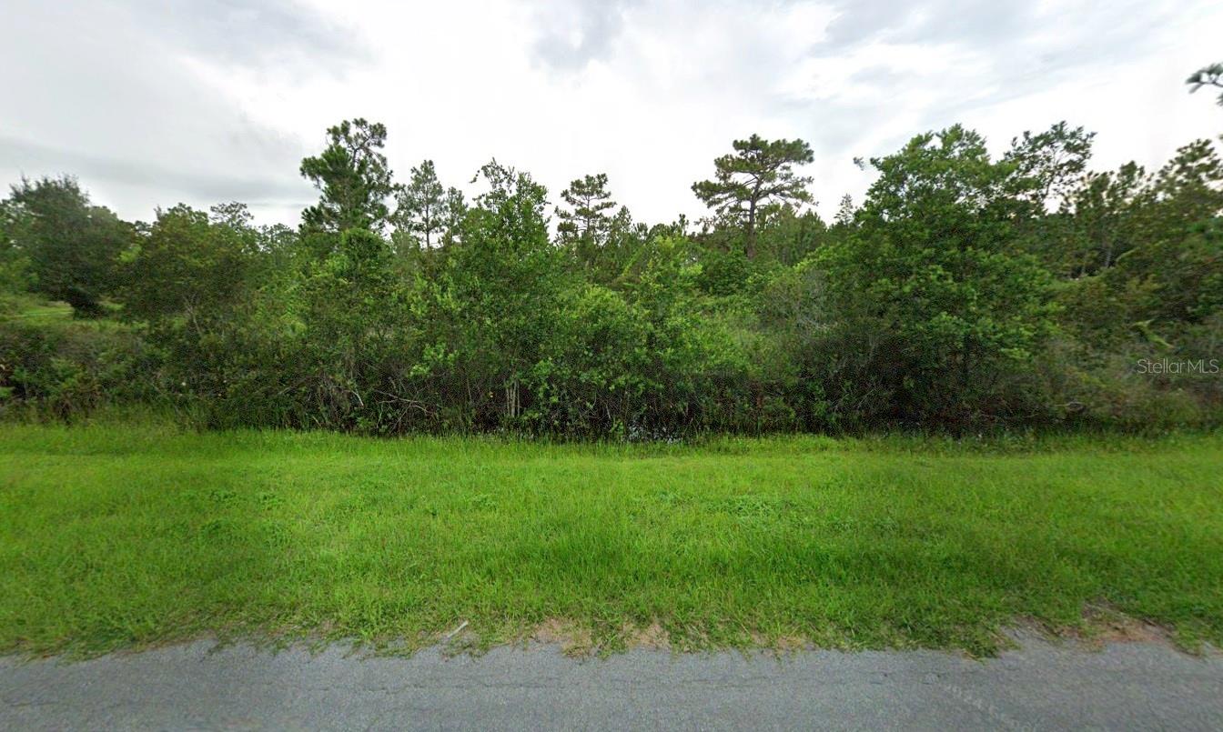 CAPE ORLANDO ESTATES - Land