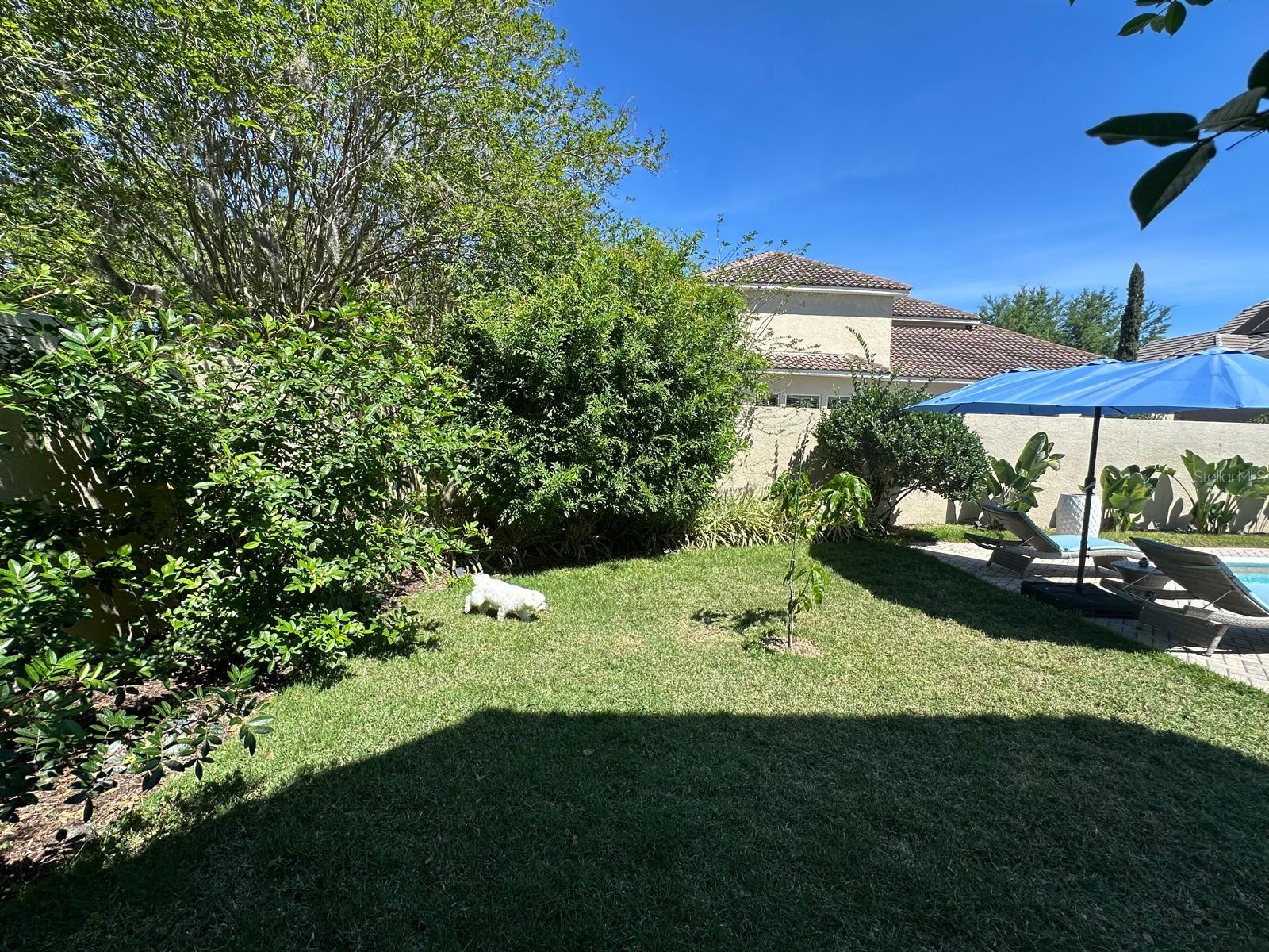 PALM LAKE - Residential