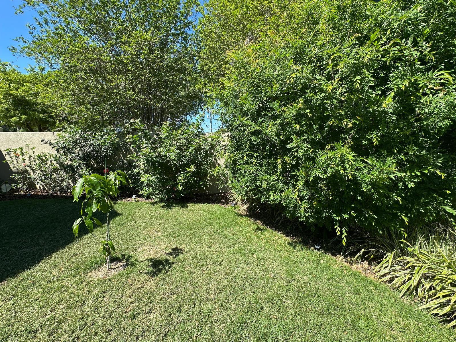 PALM LAKE - Residential