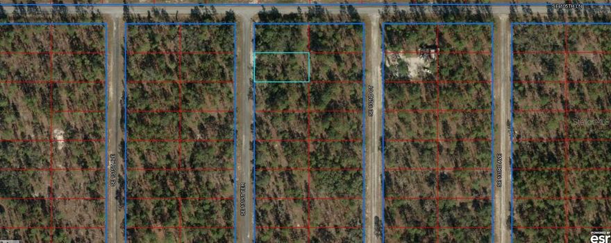 Lowest Priced Lot in Dunnellon!  Priced to Sell