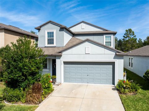 Photo of 5127 Sable Chime Drive, Wimauma, FL 33598 (MLS # TB8447697)