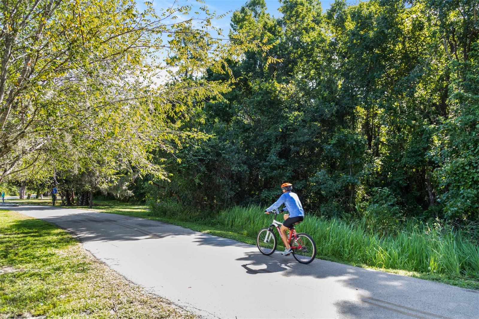 HICKORY GROVE - Residential