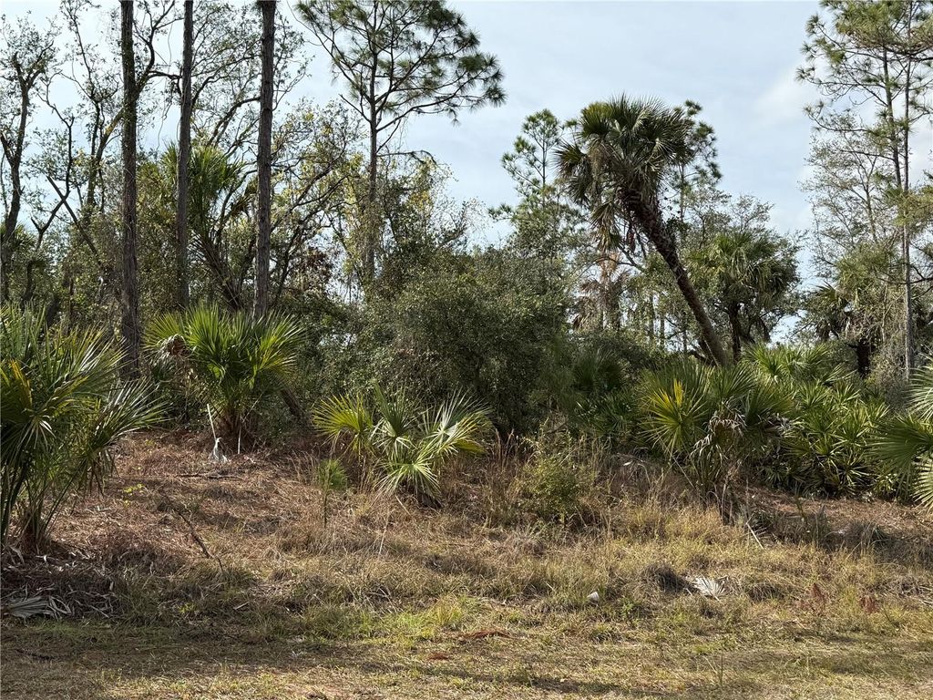 Photo of 2094 Dorion Street, Port Charlotte, FL 33948 (MLS # C7504317)