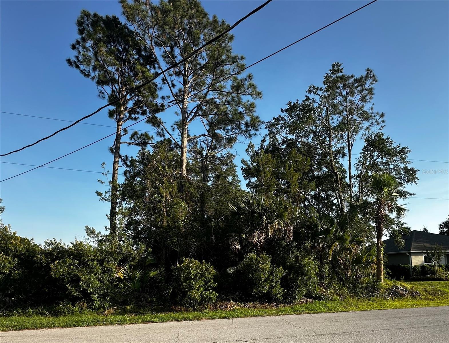 31 PALM LANE