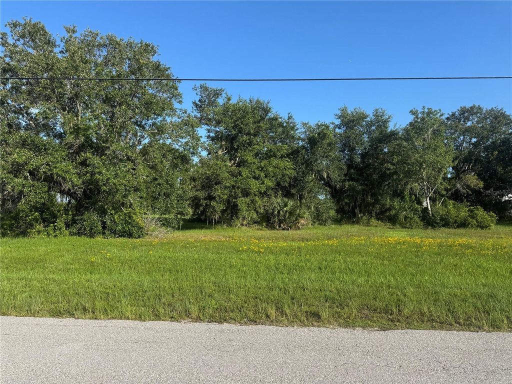 Photo of 8076 SW Liverpool Road, Arcadia, FL 34269 (MLS # C7511846)