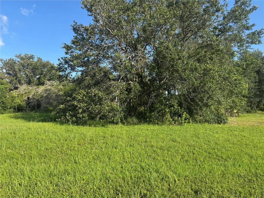 Photo of 8076 SW Liverpool Road, Arcadia, FL 34269 (MLS # C7511846)