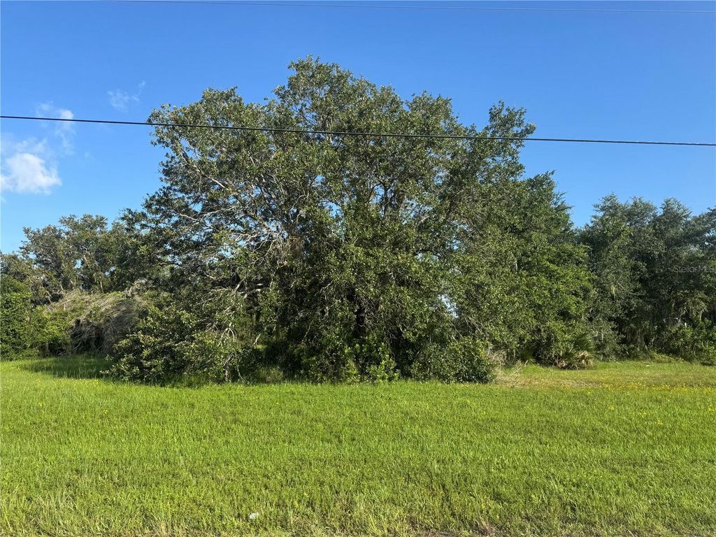 Photo of 8076 SW Liverpool Road, Arcadia, FL 34269 (MLS # C7511846)