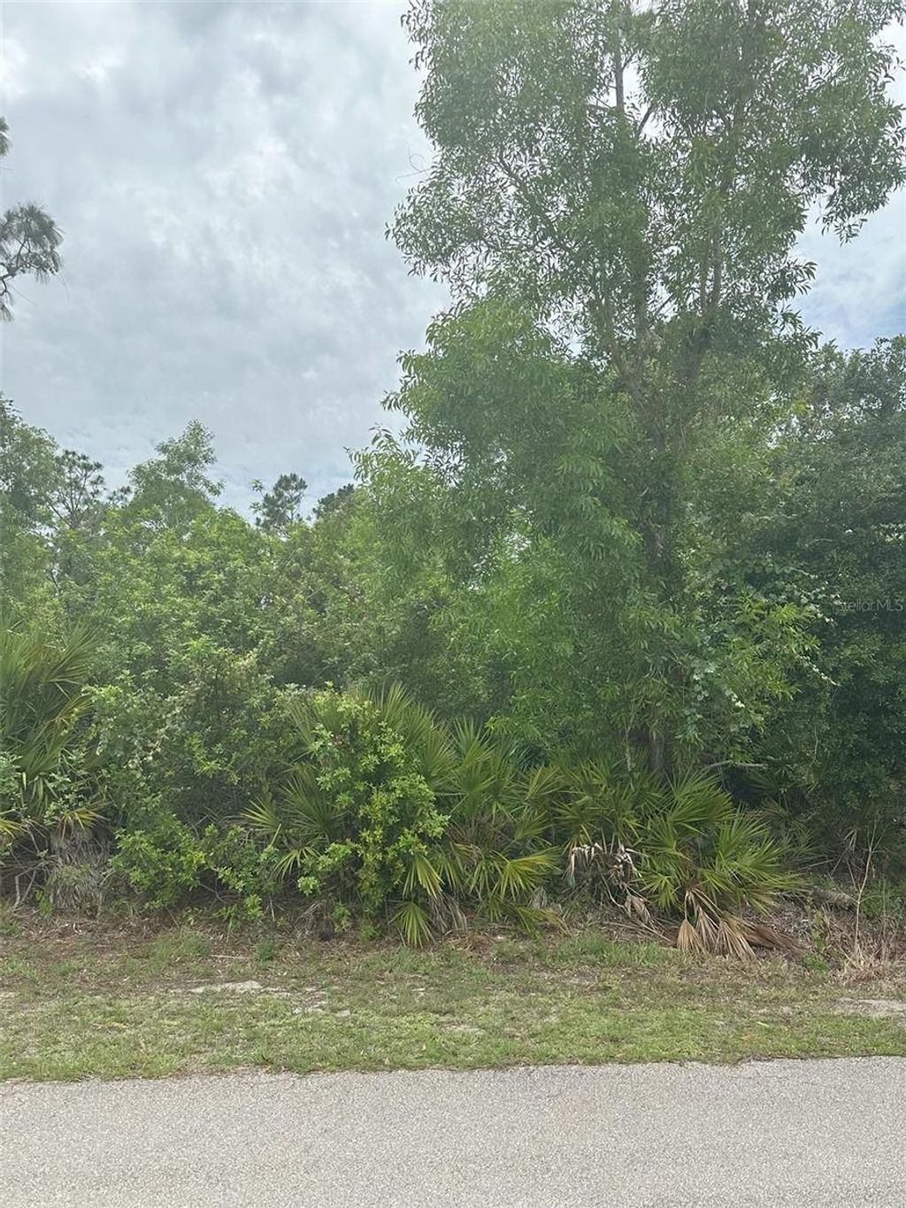 Photo of 12143 Pontoon Boulevard, Punta Gorda, FL 33955 (MLS # C7513740)