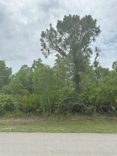 Build your Southwest Florida getaway on this approx. 11,949 sq ft homesite in quiet, laid-back Tropical Gulf Acres. Tucked on a low-traffic street, this lot offers room for a comfortable single-family home plus your Florida must-haves—outdoor living, a workshop, or space to store the toys (subject to county guidelines). You’re a quick hop to US-41, I-75, and PGD airport, with easy access to downtown Punta Gorda’s waterfront parks, Fishermen’s Village, marinas, restaurants, weekend markets, and year-round events. No construction timeline pressure here—buy now, build when you’re ready. Well & septic are typical for the neighborhood; buyer to verify availability of all utilities, any environmental considerations, and building parameters with Charlotte County. Bring your builder and start designing the sunshine life.