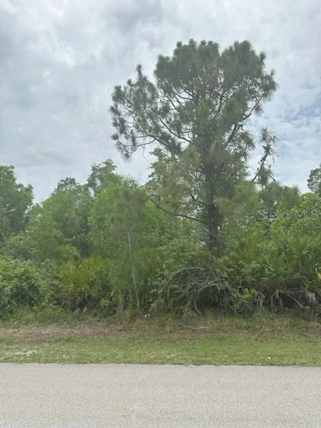 Photo of 12143 Pontoon Boulevard, Punta Gorda, FL 33955 (MLS # C7513740)
