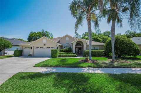 Photo of 1234 Arlinbrook Drive, Trinity, FL 34655 (MLS # W7885018)