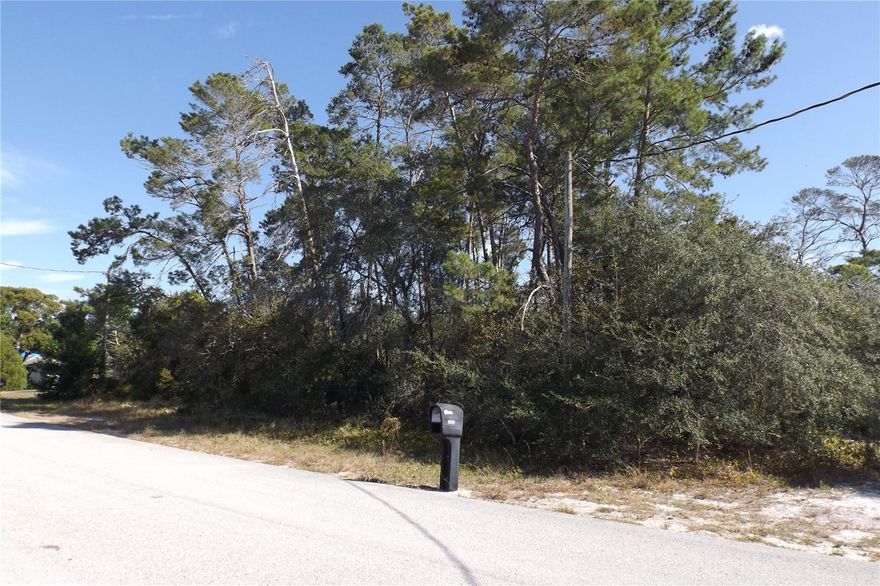 Come and build your dream home or next investment property! This lot is in a quiet, well-established neighborhood with no HOAs or CDDs. It is located in a prime location, close to the Suncoast Parkway, SR 50/Cortez Blvd, Spring Hill Dr, and US 19 making your travel to work, shopping, and dining a breeze. Schedule your visit today and see for yourself!