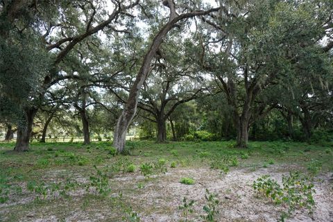 Tiny photo for 4457 Cr 542h, Bushnell, FL 33513 (MLS # TB8415628)