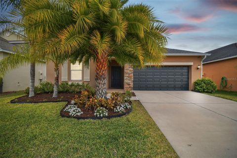 A home in RIVERVIEW