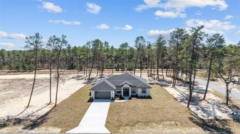 Photo of 4368 SW 179th Place, Ocala, FL 34473 (MLS # OM714863)