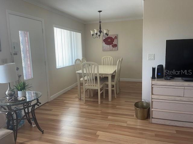 SEMINOLE GARDEN APTS CO-OP - Residential