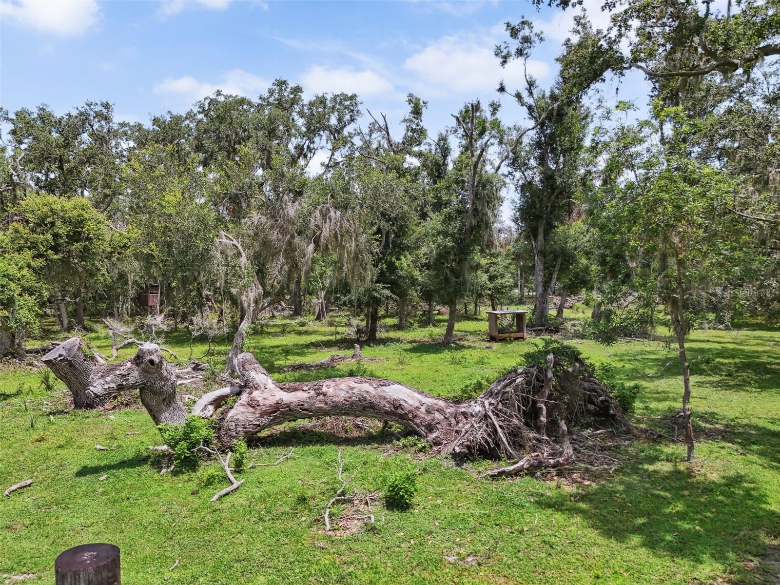 SARASOTA - Residential