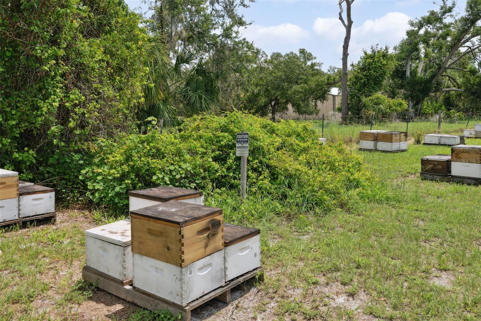 SARASOTA - Residential