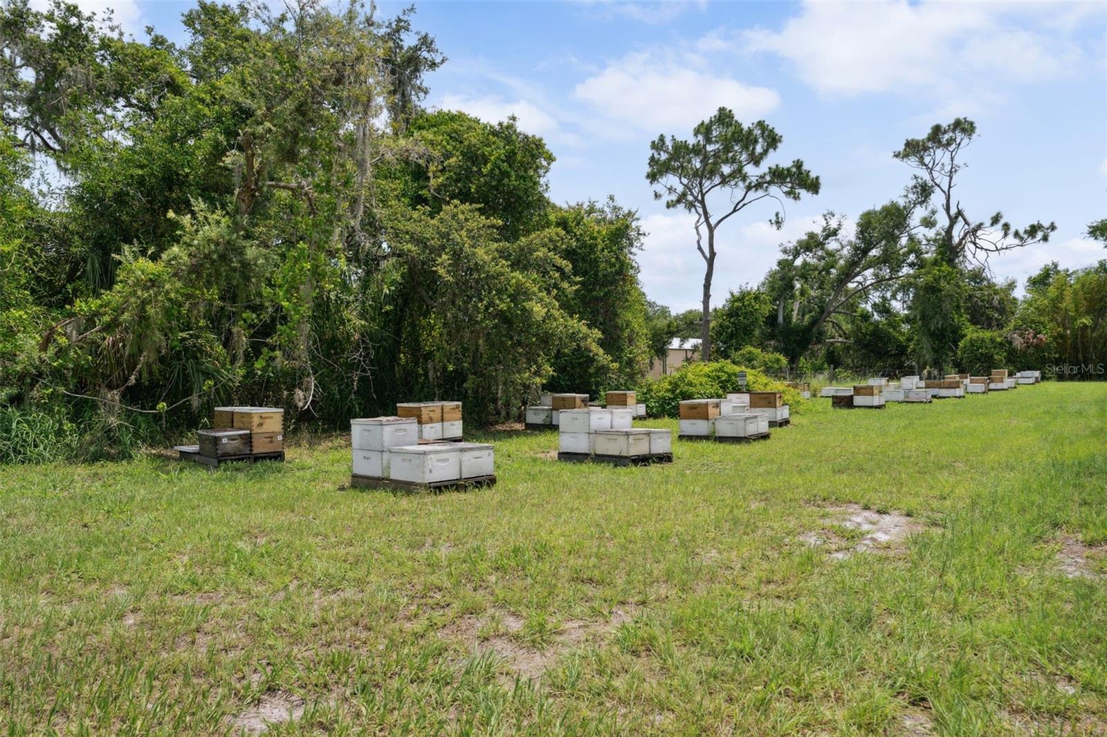 SARASOTA - Residential