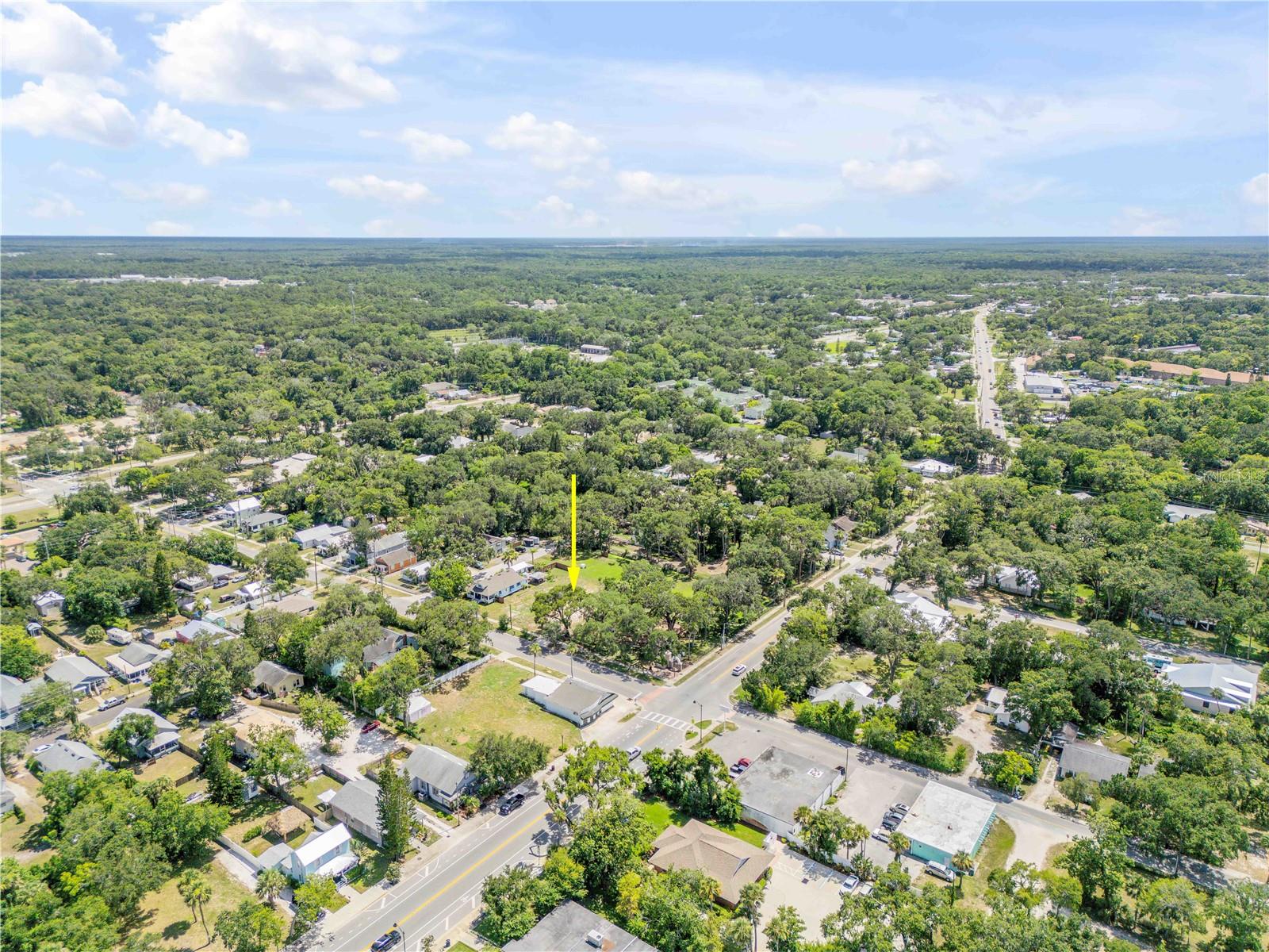 GRIMSLEY & HEALY IN LEWIS HOMESTEAD - Land