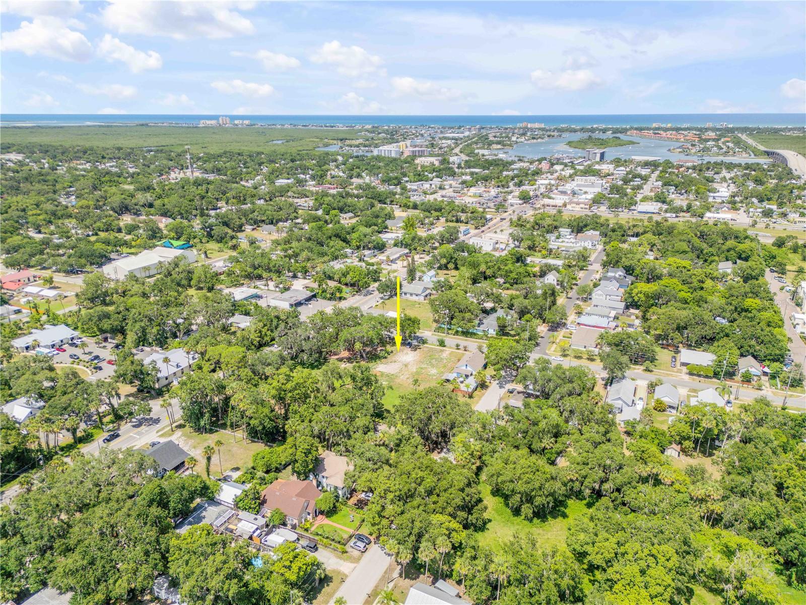 GRIMSLEY & HEALY IN LEWIS HOMESTEAD - Land