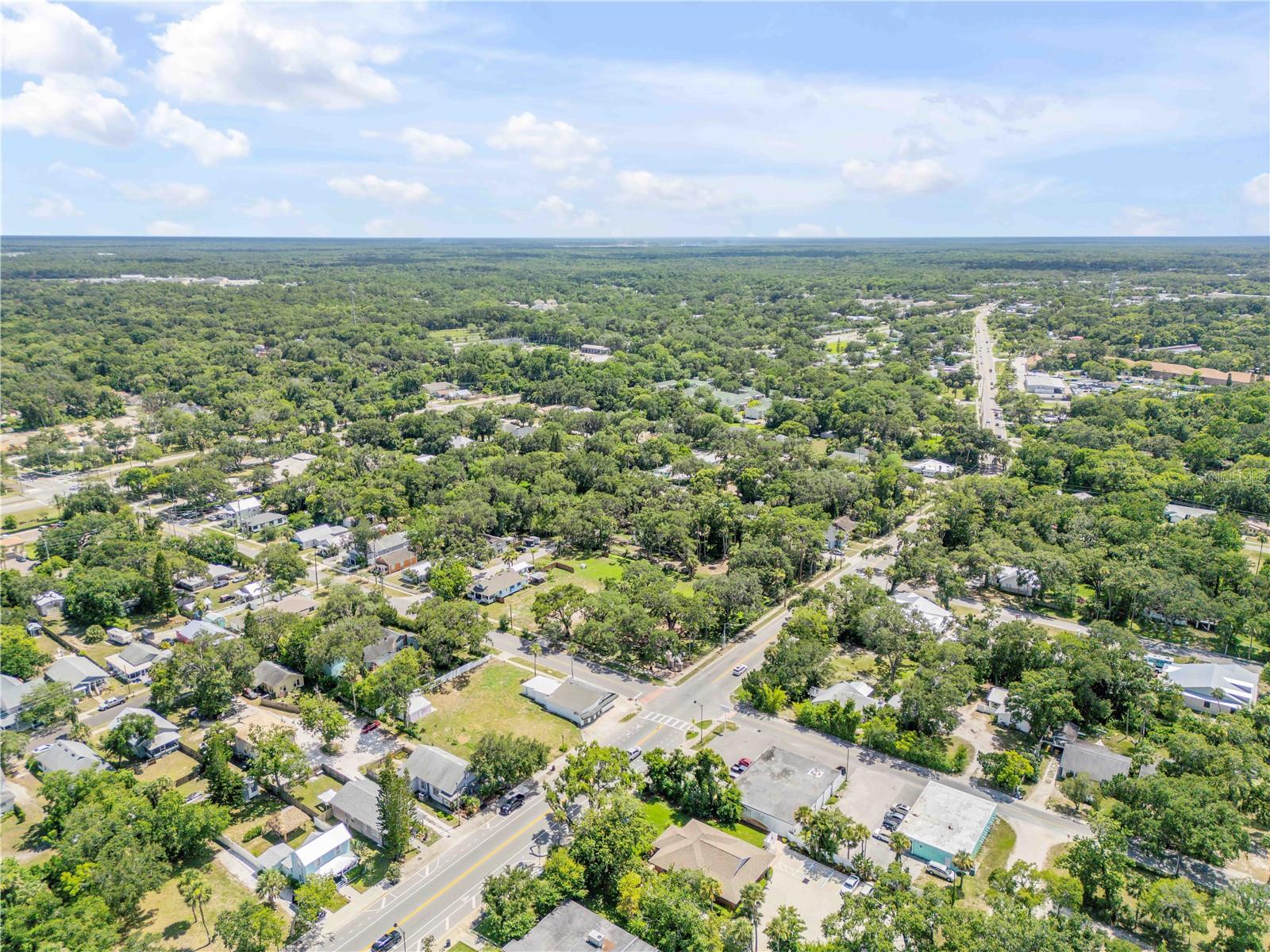 GRIMSLEY & HEALY IN LEWIS HOMESTEAD - Land