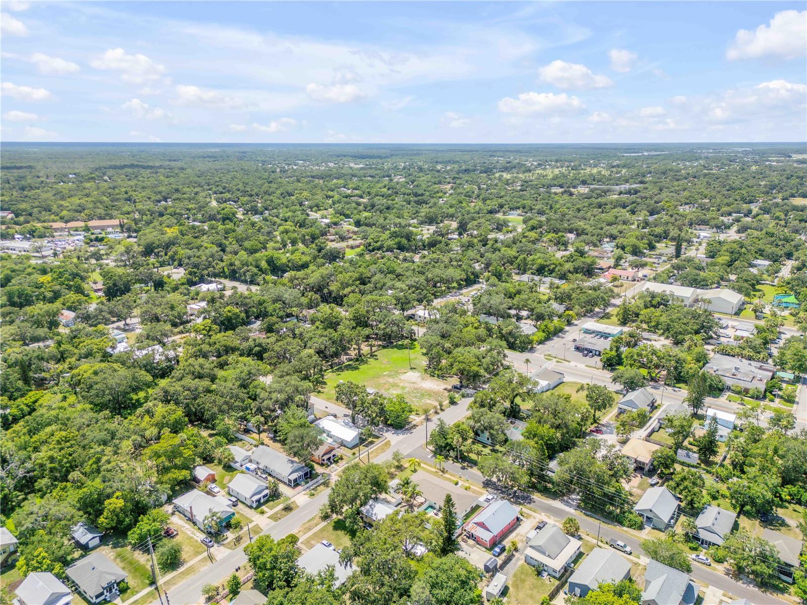 GRIMSLEY & HEALY IN LEWIS HOMESTEAD - Land