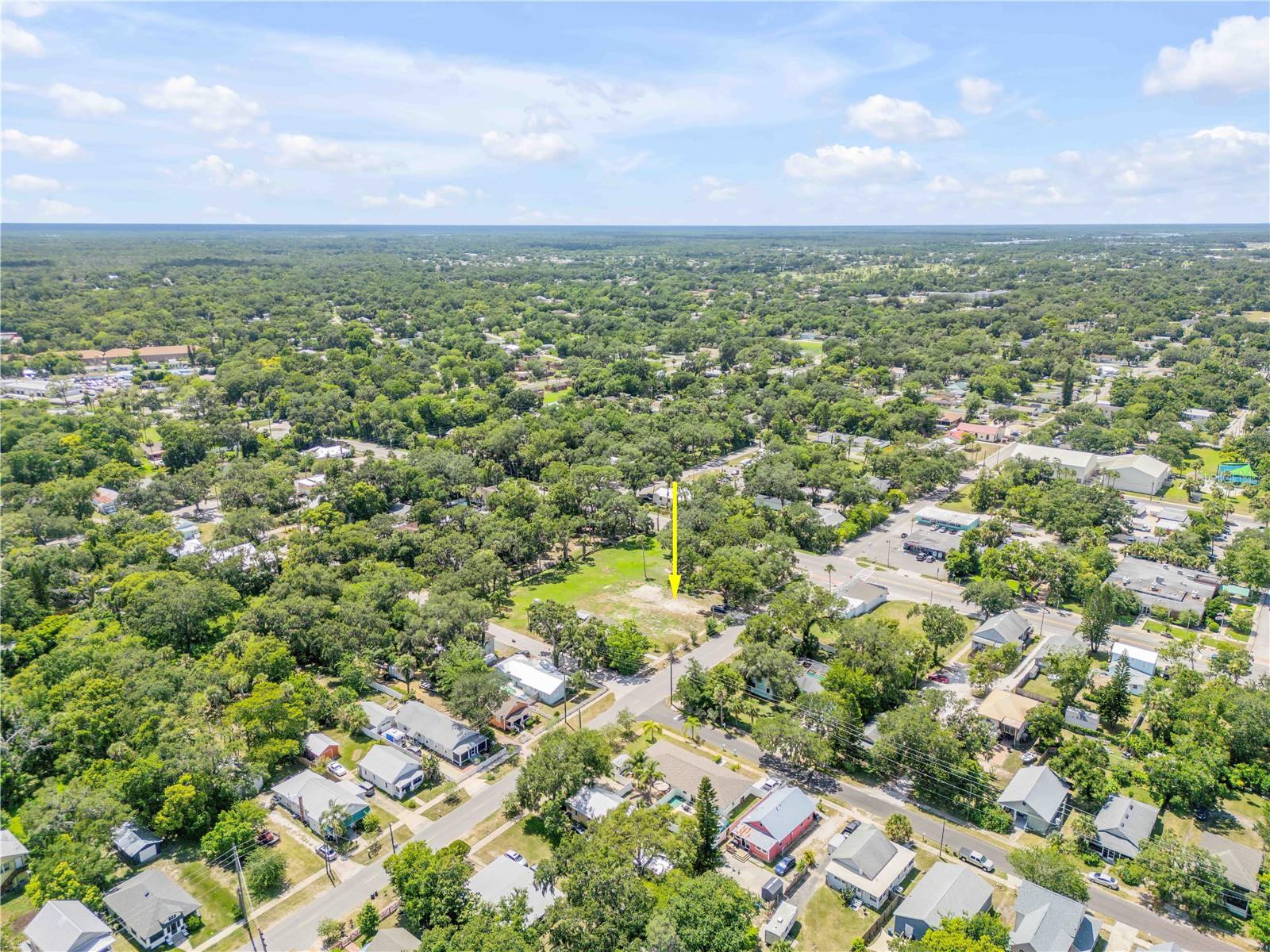 GRIMSLEY & HEALY IN LEWIS HOMESTEAD - Land
