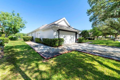 A home in MOUNT DORA