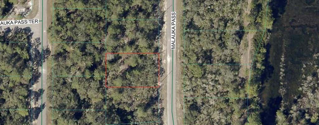 Photo of Tbd Malauka Pass, Ocklawaha, FL 32179 (MLS # OM728514)