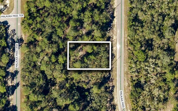 Photo 1 of 1 — TBD MALAUKA PASS, OCKLAWAHA, FL 32179