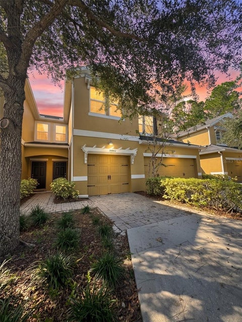 14442 Desert Haven Street 4305, Windermere, FL 34786
