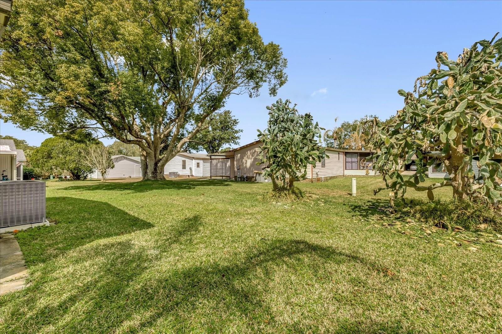 ORANGE BLOSSOM GARDENS UNIT 03 01B - Residential