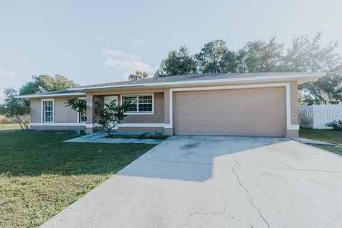 816 ADOUR DRIVE KISSIMMEE FL 34759