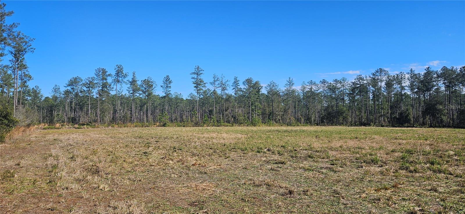 98ac SE 137TH AVENUE ROAD