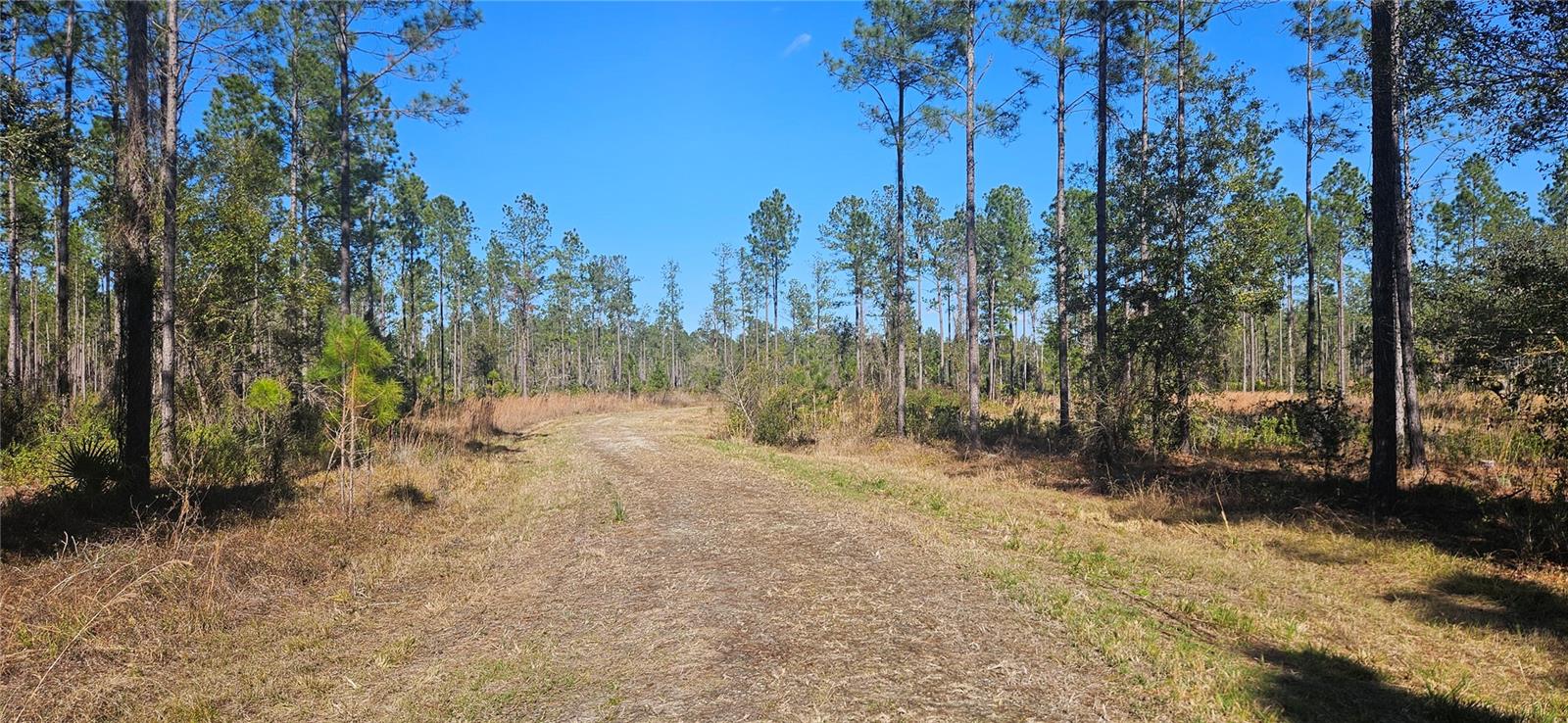 98ac SE 137TH AVENUE ROAD