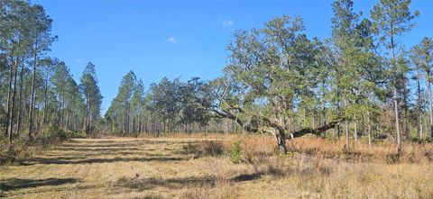 98ac SE 137TH AVENUE ROAD OCKLAWAHA FL 32179