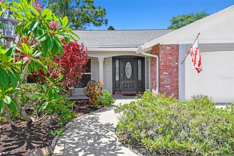 1265 ROYAL OAK DRIVE DUNEDIN FL 34698