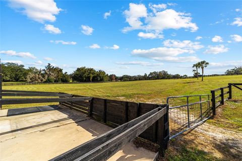 Tiny photo for 4520 NW 95th Avenue Road, Ocala, FL 34482 (MLS # OM688359)
