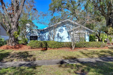 A home in TAMPA